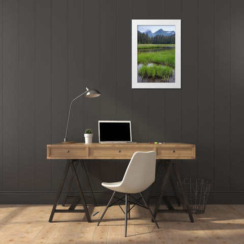 Alaska-Sitka Meadow at high tide in Tongass National Forest  White Modern Wood Framed Art Print by Jaynes Gallery