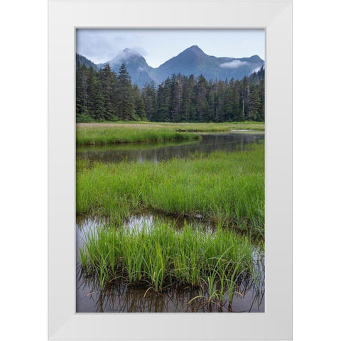 Alaska-Sitka Meadow at high tide in Tongass National Forest  White Modern Wood Framed Art Print by Jaynes Gallery