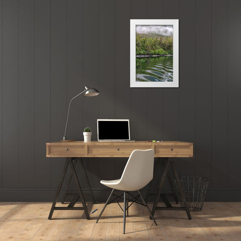 Alaska-Tongass National Forest Boat wake ripples in Mirror Harbor  White Modern Wood Framed Art Print by Jaynes Gallery