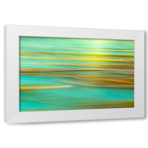 Alaska-Inian Islands Abstract of kelp in motion  White Modern Wood Framed Art Print by Jaynes Gallery