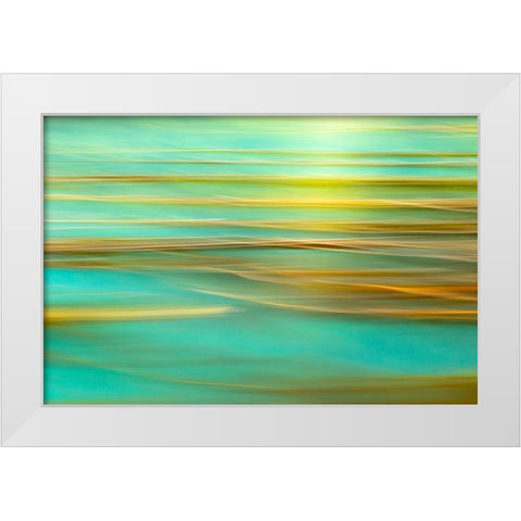 Alaska-Inian Islands Abstract of kelp in motion  White Modern Wood Framed Art Print by Jaynes Gallery