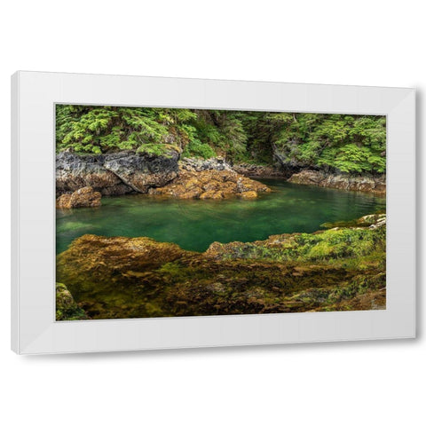 Alaska-Chichagof Island Basket Creek scenic  White Modern Wood Framed Art Print by Jaynes Gallery