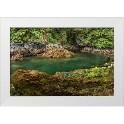 Alaska-Chichagof Island Basket Creek scenic  White Modern Wood Framed Art Print by Jaynes Gallery