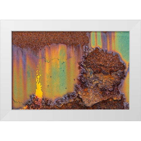 Alaska-Tongass National Forest Rusted metal from an abandoned gold mine  White Modern Wood Framed Art Print by Jaynes Gallery