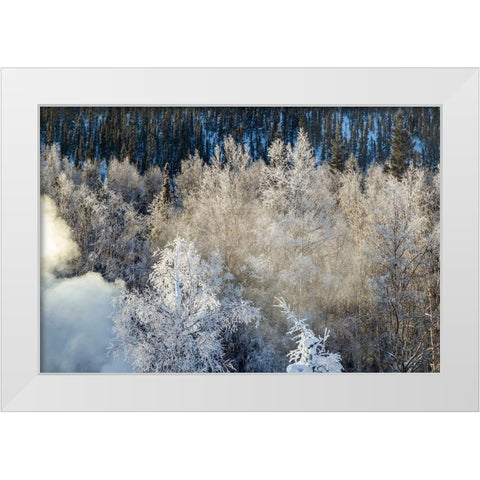 Alaska Fog and frosted trees in winter White Modern Wood Framed Art Print by Jaynes Gallery
