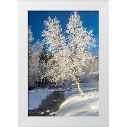 Alaska Stream and frosted trees in winter White Modern Wood Framed Art Print by Jaynes Gallery