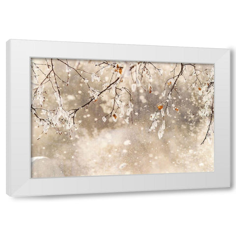 Alaska Close-up of frost falling from branches in winter White Modern Wood Framed Art Print by Jaynes Gallery