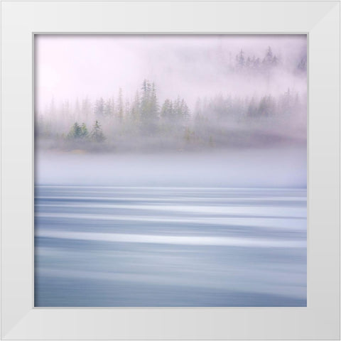 Alaska-Endicott Arm Foggy morning at Fords Terror White Modern Wood Framed Art Print by Jaynes Gallery