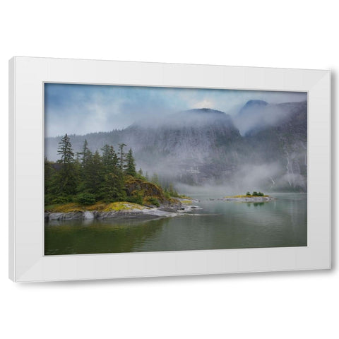 Usa-Alaska Endicott Arm White Modern Wood Framed Art Print by Sederquist, Betty
