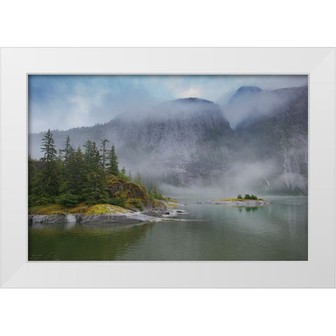 Usa-Alaska Endicott Arm White Modern Wood Framed Art Print by Sederquist, Betty