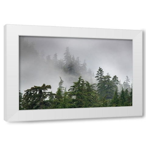 Usa-Alaska Mists-fog and rain for the coastal temperate rainforest in Southeast Alaska White Modern Wood Framed Art Print by Sederquist, Betty