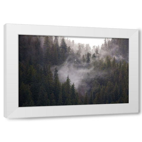 Usa-Alaska Wisps of fog dance among trees in this Alaska rainforest scene on Admiralty Island White Modern Wood Framed Art Print by Sederquist, Betty