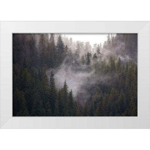 Usa-Alaska Wisps of fog dance among trees in this Alaska rainforest scene on Admiralty Island White Modern Wood Framed Art Print by Sederquist, Betty