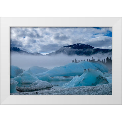 These blue icebergs are grounded in Shakes Lake. White Modern Wood Framed Art Print by Sederquist, Betty