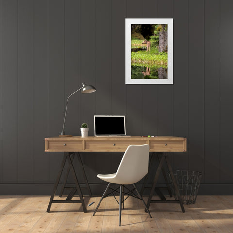 Tiny moose calf waits for its mother at a rainforest pond at Bartlett Cove- Glacier Bay. White Modern Wood Framed Art Print by Sederquist, Betty