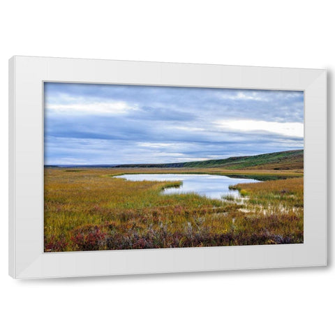 USA- Alaska- Noatak National Preserve. Wetlands in the arctic tundra. White Modern Wood Framed Art Print by Norrsell, Fredrik