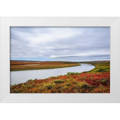 USA- Alaska- Noatak National Preserve. Autumn colors along the Noatak River. White Modern Wood Framed Art Print by Norrsell, Fredrik