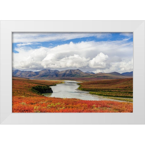 USA- Alaska- Noatak National Preserve. Arctic tundra in autumn colors along the Noatak River. White Modern Wood Framed Art Print by Norrsell, Fredrik