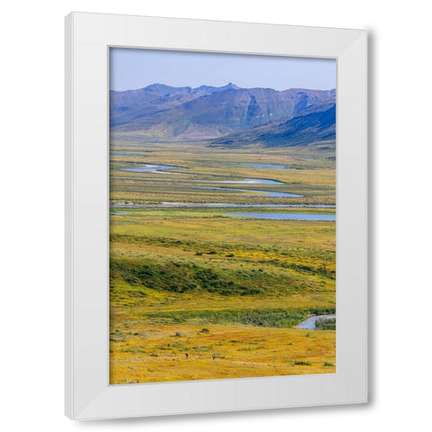 USA- Alaska- Gates of the Arctic National Park- Noatak River. Oxbow bends on the upper river. White Modern Wood Framed Art Print by Norrsell, Fredrik