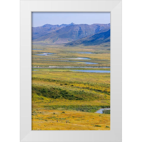 USA- Alaska- Gates of the Arctic National Park- Noatak River. Oxbow bends on the upper river. White Modern Wood Framed Art Print by Norrsell, Fredrik