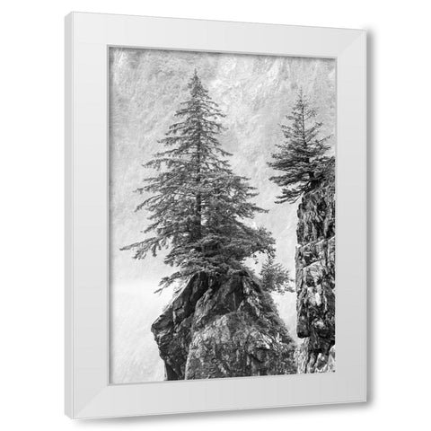 Alaska- Kenai Peninsula. Black and white image of pine tree on a monolith. White Modern Wood Framed Art Print by Muir, Janet