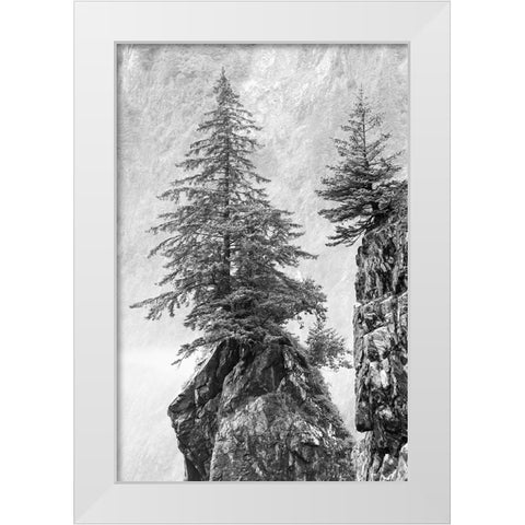 Alaska- Kenai Peninsula. Black and white image of pine tree on a monolith. White Modern Wood Framed Art Print by Muir, Janet