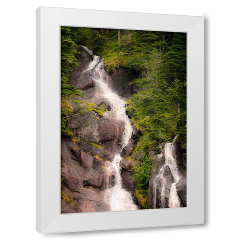 Kenai Peninsula. Two waterfalls surrounded by pine trees White Modern Wood Framed Art Print by Muir, Janet