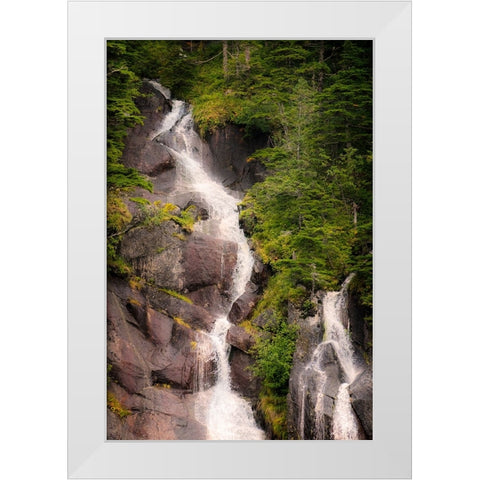 Kenai Peninsula. Two waterfalls surrounded by pine trees White Modern Wood Framed Art Print by Muir, Janet