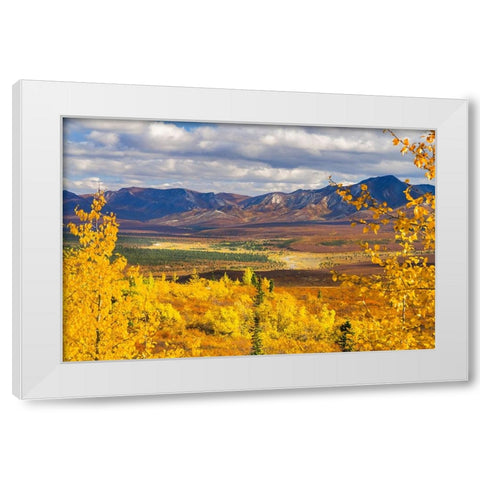 Alaska- Denali National Park. Golden landscape of valley and mountains. White Modern Wood Framed Art Print by Muir, Janet