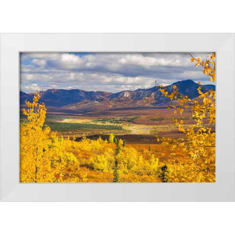 Alaska- Denali National Park. Golden landscape of valley and mountains. White Modern Wood Framed Art Print by Muir, Janet