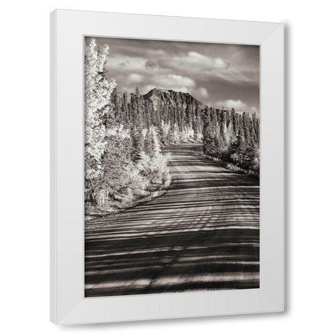 Alaska- Denali National Park. Road winding through Denali. White Modern Wood Framed Art Print by Muir, Janet