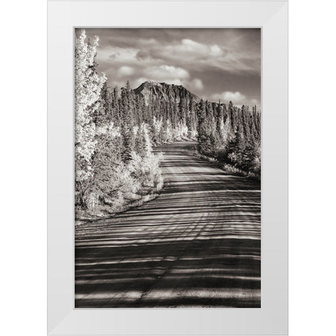 Alaska- Denali National Park. Road winding through Denali. White Modern Wood Framed Art Print by Muir, Janet