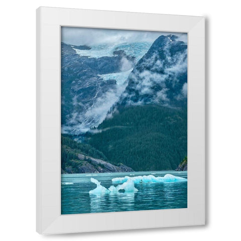Glacial ice-iceberg-LeConte Bay-Petersburg-Alaska-USA White Modern Wood Framed Art Print by Engelbrecht, Jim