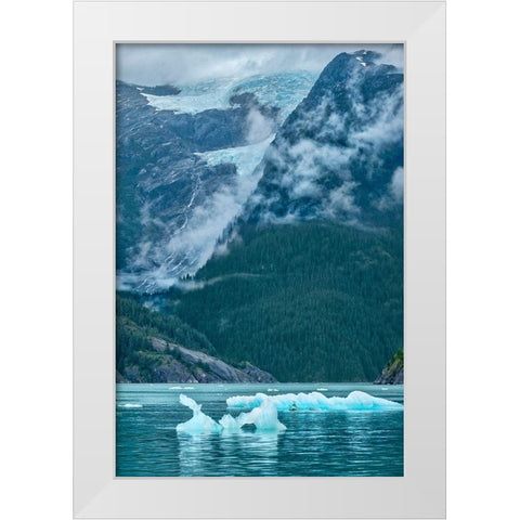 Glacial ice-iceberg-LeConte Bay-Petersburg-Alaska-USA White Modern Wood Framed Art Print by Engelbrecht, Jim