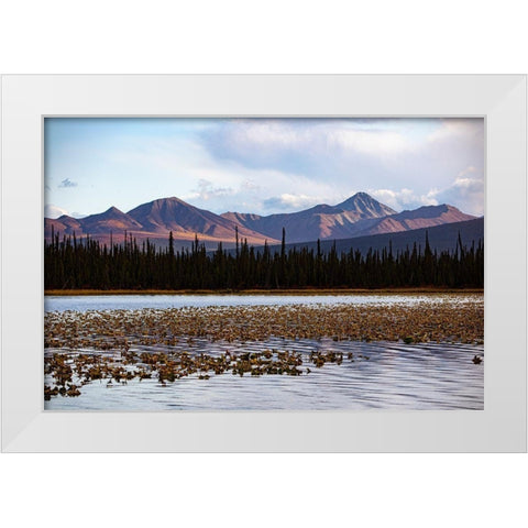 Wrangell Mountains-Alaska-USA White Modern Wood Framed Art Print by Sienda, Jolly