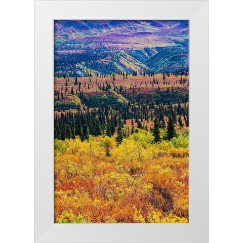 Glenn Highway-Alaska-forest White Modern Wood Framed Art Print by Sienda, Jolly