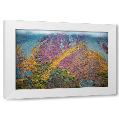 Alaska-autumn color White Modern Wood Framed Art Print by Sienda, Jolly