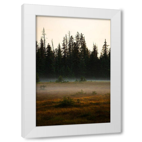Homer-Alaska-miniature-black spruce-autumn colored field White Modern Wood Framed Art Print by Sienda, Jolly