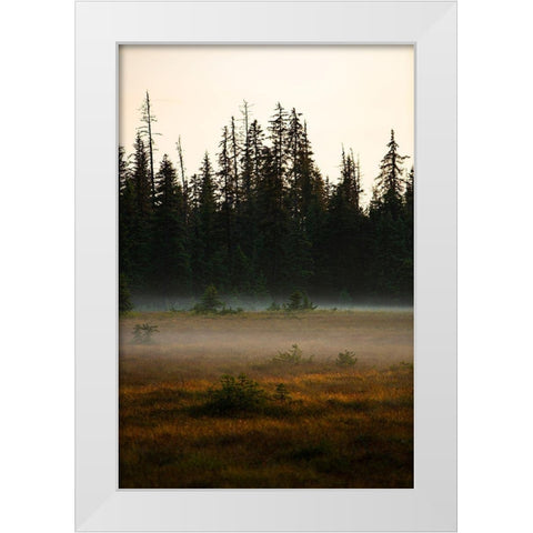 Homer-Alaska-miniature-black spruce-autumn colored field White Modern Wood Framed Art Print by Sienda, Jolly