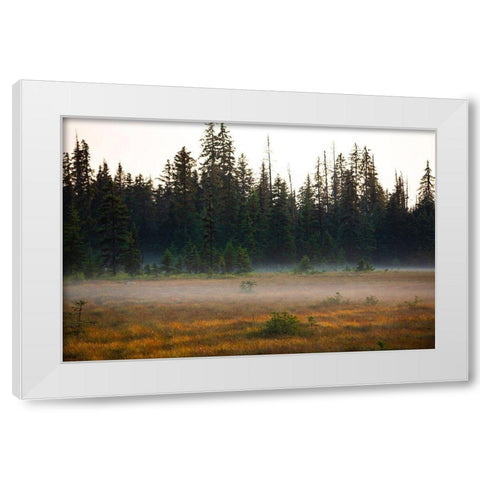Homer-Alaska-miniature-black spruce-autumn colored field White Modern Wood Framed Art Print by Sienda, Jolly