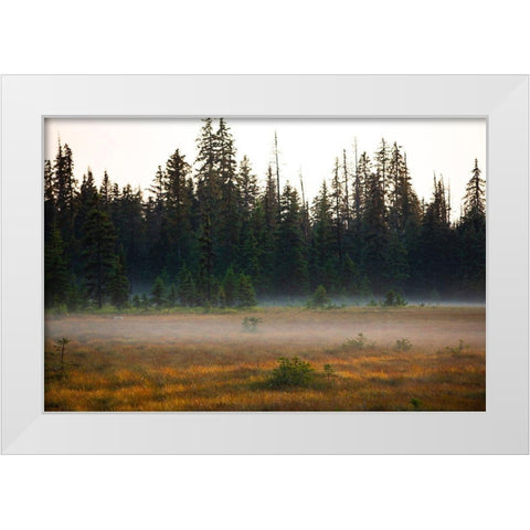 Homer-Alaska-miniature-black spruce-autumn colored field White Modern Wood Framed Art Print by Sienda, Jolly