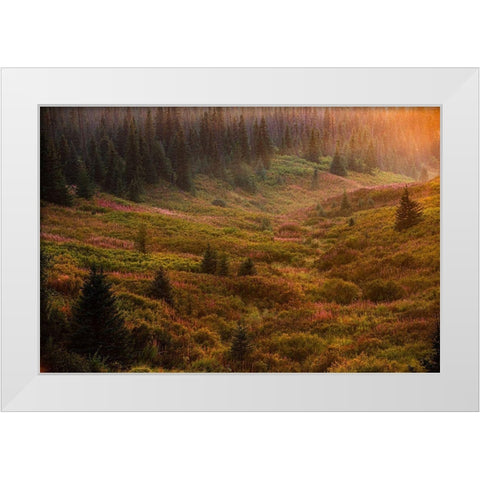 Homer-Alaska-autumn-valley-fireweed White Modern Wood Framed Art Print by Sienda, Jolly