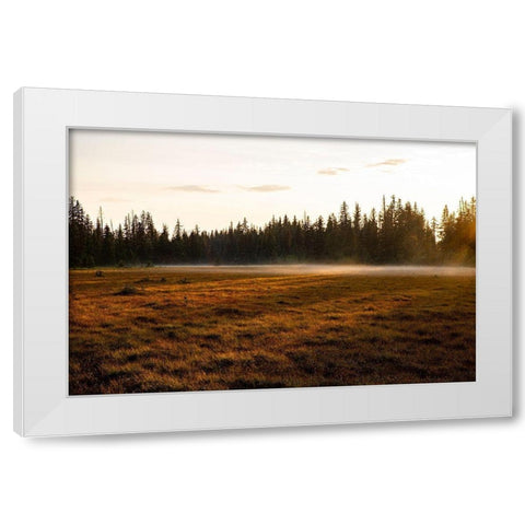 Homer-Alaska-Kenai Peninsula White Modern Wood Framed Art Print by Sienda, Jolly