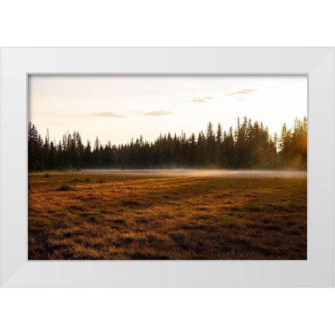 Homer-Alaska-Kenai Peninsula White Modern Wood Framed Art Print by Sienda, Jolly