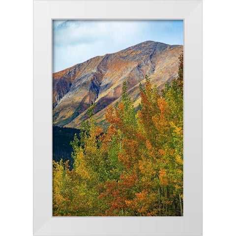 Richardson Highway-Alaska-autumn color-birch-aspens-mountains-Permafrost White Modern Wood Framed Art Print by Sienda, Jolly