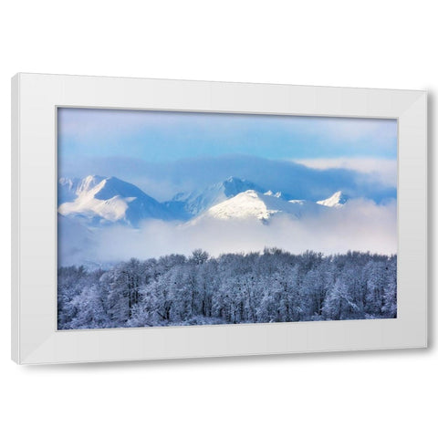 Landscape of forest and snow mountain-Haines-Alaska-USA White Modern Wood Framed Art Print by Su, Keren