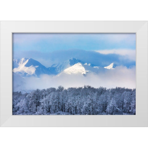Landscape of forest and snow mountain-Haines-Alaska-USA White Modern Wood Framed Art Print by Su, Keren