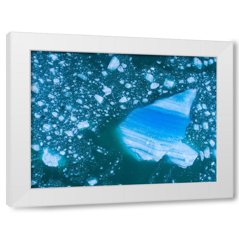 Alaska shattered icebergs floating near calving face of LeConte Glacier east of Petersburg White Modern Wood Framed Art Print by Souders, Paul