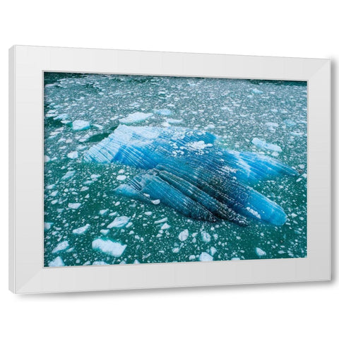 Alaska shattered icebergs floating near calving face of LeConte Glacier east of Petersburg White Modern Wood Framed Art Print by Souders, Paul