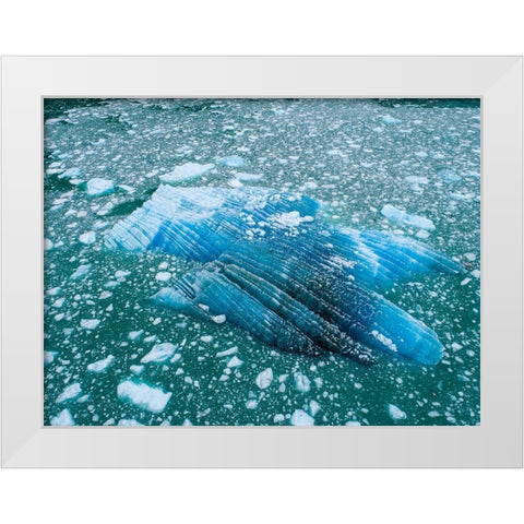 Alaska shattered icebergs floating near calving face of LeConte Glacier east of Petersburg White Modern Wood Framed Art Print by Souders, Paul